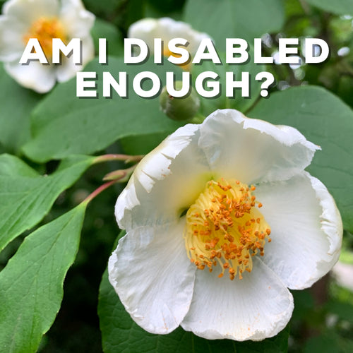 Disabled Enough Blog