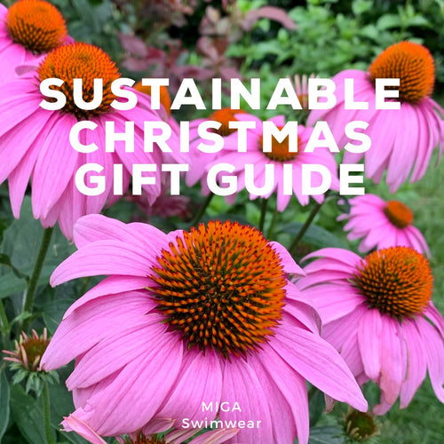 Sustainable Christmas Gift Guide